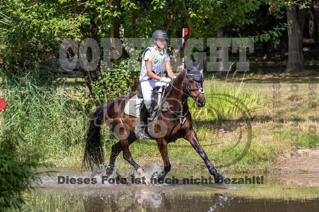 Late-Entry Vielseitigkeit Hamminkeln/Wesel (01.+02.08.2020)