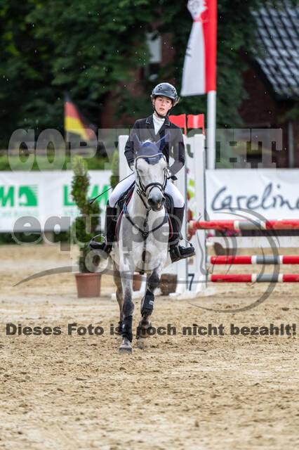 Goldene Schärpe 2021 - Ponys