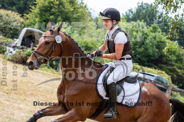 Late-Entry Vielseitigkeit Hamminkeln/Wesel (01.+02.08.2020)