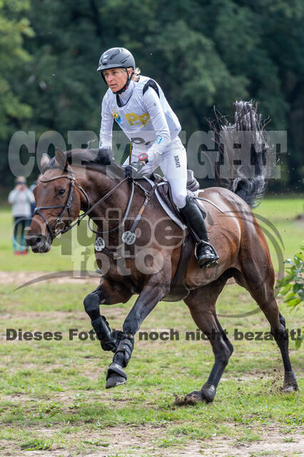 Vielseitigkeit RSV Wesel Obrighoven (26.+27.09.2020)