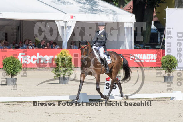 FEI European Championship Eventing 2017