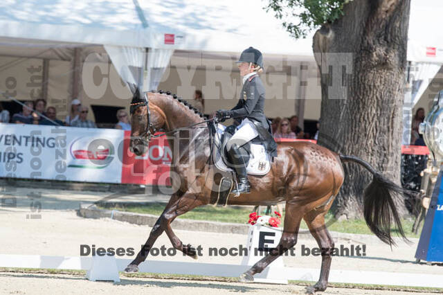 FEI European Championship Eventing 2017