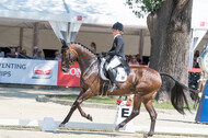 FEI European Championship Eventing 2017