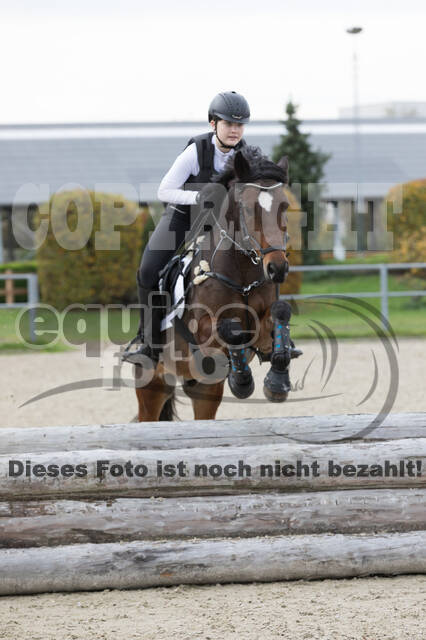 IGV Lehrgang der Sieger der Cups mit Frank Ostholt