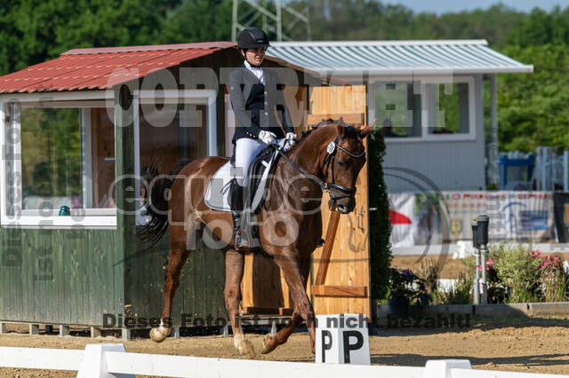 Westerstede Horse Trials 2021