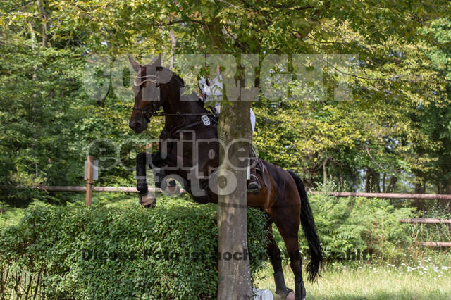 Late-Entry-Vielseitigkeit Gahlen (18.07.2020)