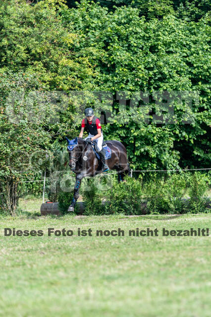 Goldene Schärpe 2021 - Ponys