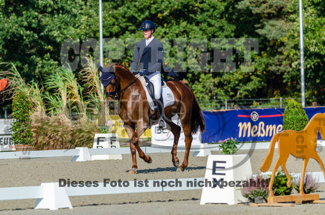 Deutsche Meisterschaft Vielseitigkeit (Luhmühlen)