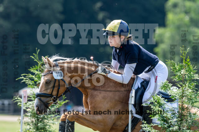 Goldene Schärpe 2021 - Ponys