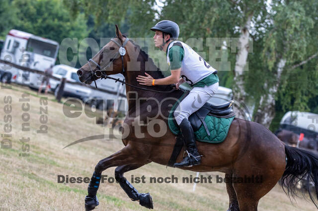 Late-Entry Vielseitigkeit Hamminkeln/Wesel (01.+02.08.2020)