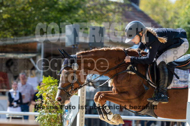 RFV Dinslaken-Hiesfeld (Herbstturnier)