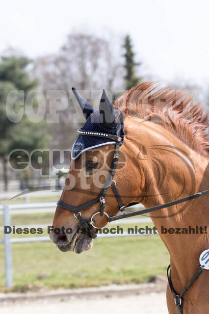 Eventing Langenfeld