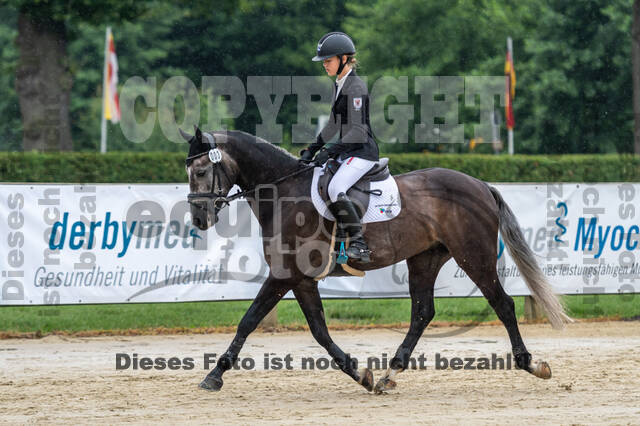 Goldene Schärpe 2021 - Ponys