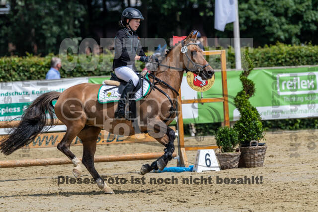 Goldene Schärpe 2021 - Ponys