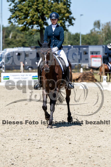 Kronenberg - De Peelbergen (August 2020)