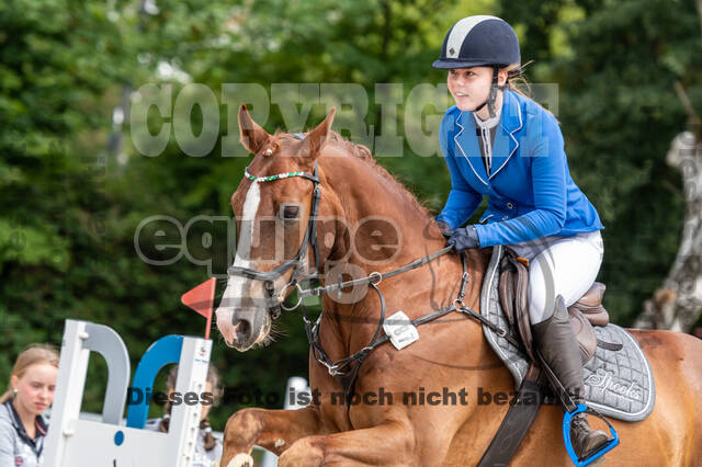 Late-Entry-Vielseitigkeit Langenfeld (06.+07.07.2020)