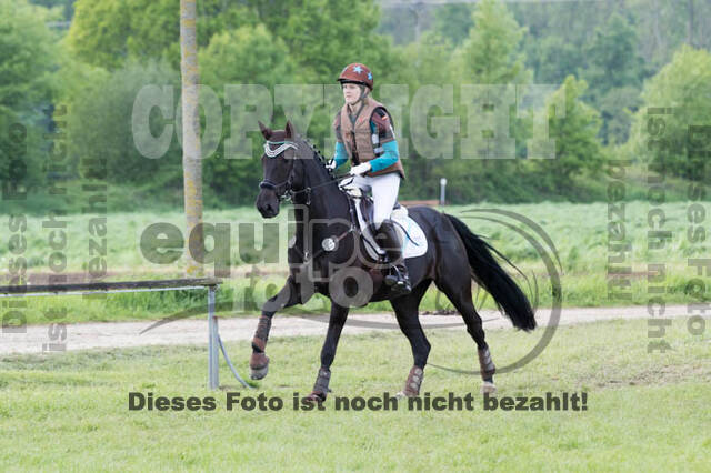 Vielseitigkeitsturnier RuFV Rheurdt
