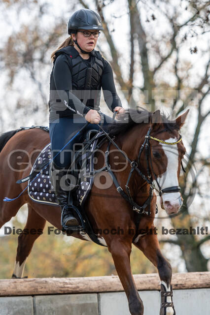 IGV Lehrgang der Sieger der Cups mit Frank Ostholt
