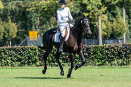 Kronenberg - De Peelbergen (August 2020)