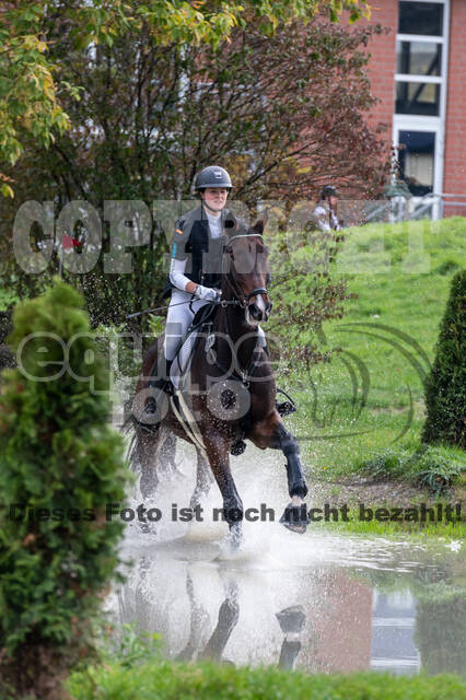 Goldene Schärpe 2020 - Pferde