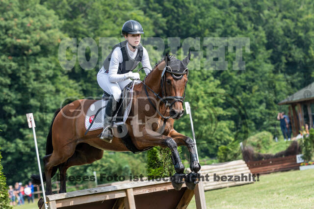 Goldene Schärpe 2021 - Ponys