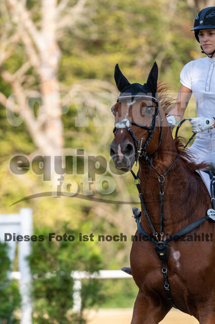RFV Dinslaken-Hiesfeld (Herbstturnier)