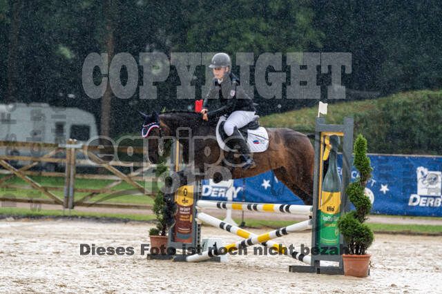 Goldene Schärpe 2021 - Ponys