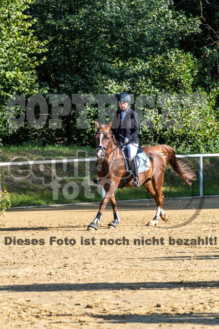RFV Dinslaken-Hiesfeld (Herbstturnier)