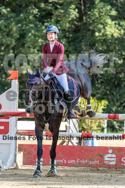 RFV Dinslaken-Hiesfeld (Herbstturnier)