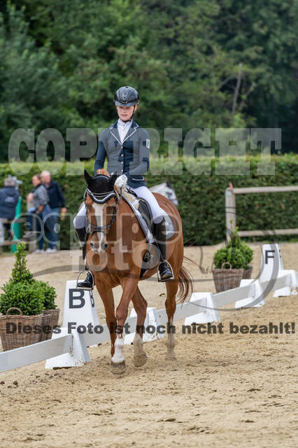 Goldene Schärpe 2021 - Ponys