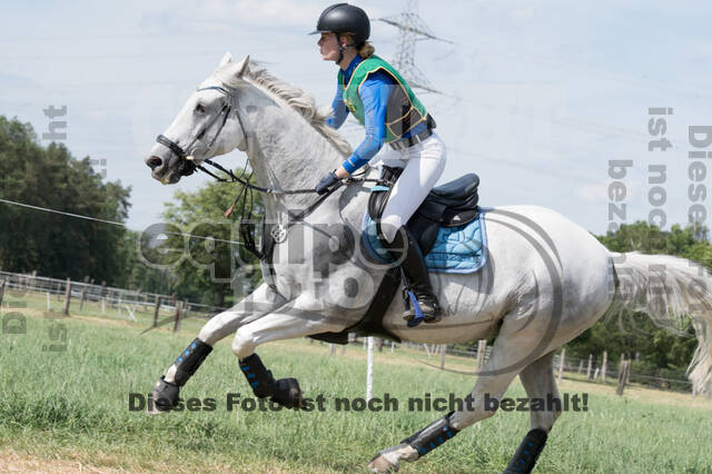 Vielseitigkeitsturnier ZRuFV von Lützow Hamminkeln