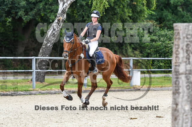 Late-Entry-Vielseitigkeit Langenfeld (11.+13./14.06.2020)