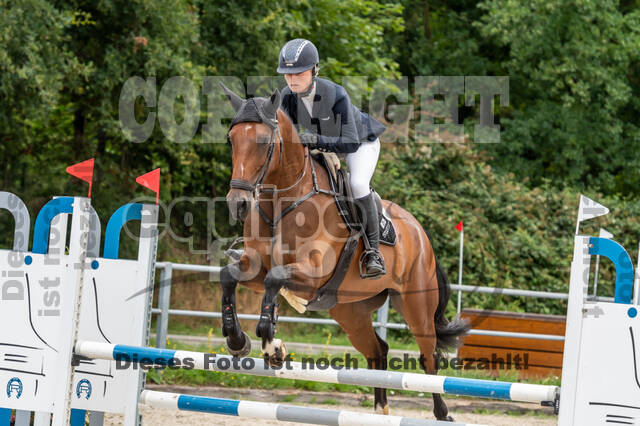 Late-Entry-Vielseitigkeit Langenfeld (06.+07.07.2020)