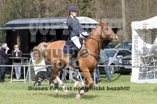 Frühjahrsvielseitigkeit RV Seydlitz Kamp