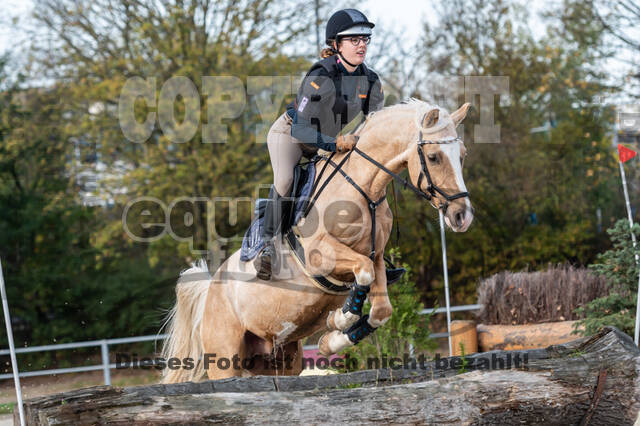 IGV Lehrgang der Sieger der Cups mit Frank Ostholt
