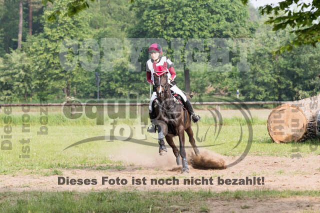 Vielseitigkeitsturnier ZRFV von Lützow Hamminkeln