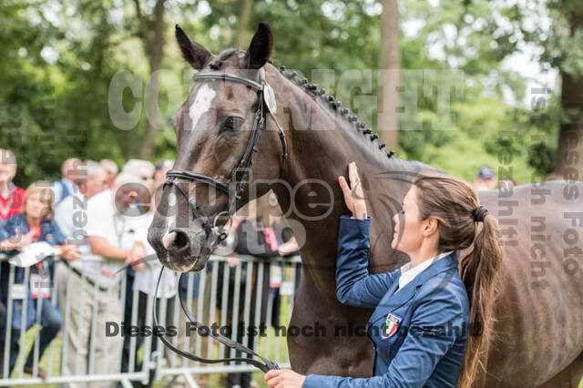 FEI European Championship