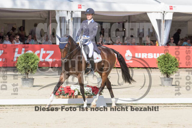 FEI European Championship Eventing 2017