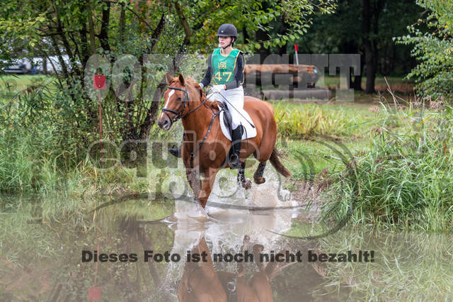 Vielseitigkeit RSV Wesel Obrighoven (26.+27.09.2020)