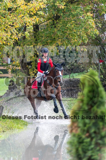 Goldene Schärpe 2020 - Pferde