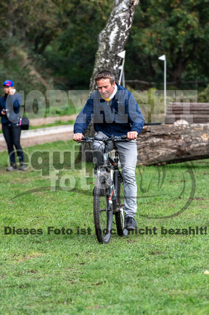 Goldene Schärpe 2020 - Pferde