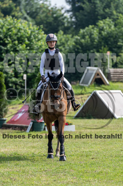 Goldene Schärpe 2021 - Ponys