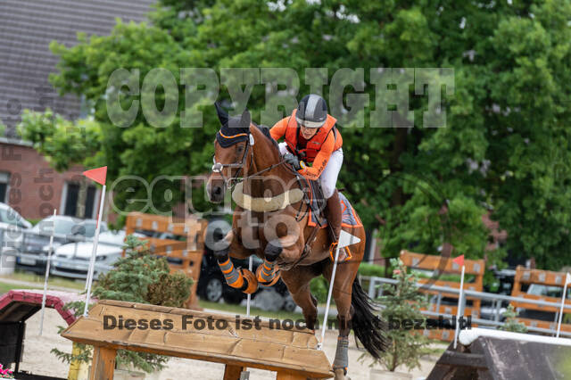 Late-Entry-Vielseitigkeit Langenfeld (11.+13./14.06.2020)