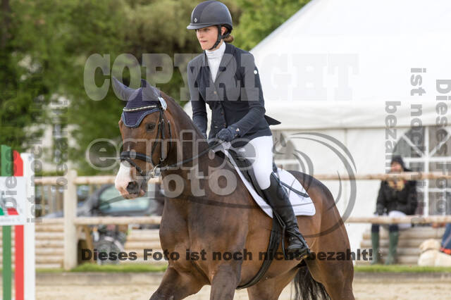 Sterne über Münster 2019 - CCI***S