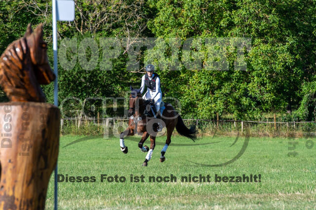 Bonn-Rodderberg Late-Entry-Vielseitigkeit (30.06.2020)
