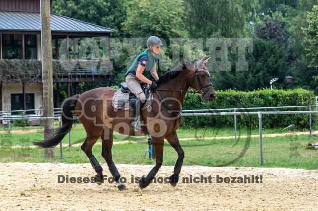 Hunter Geländetraining 10.07.2021 (Sonsbeck)