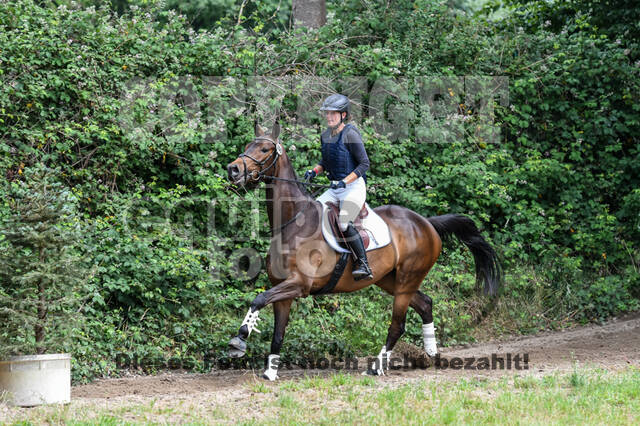 Late-Entry-Vielseitigkeit Langenfeld (11.+13./14.06.2020)