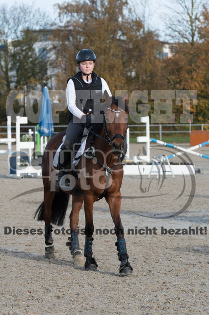 IGV Lehrgang der Sieger der Cups mit Frank Ostholt