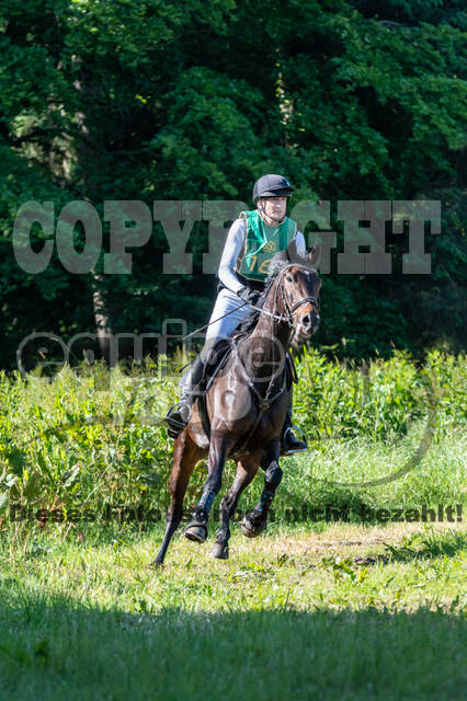 Westerstede Horse Trials (10.-13.06.2021)
