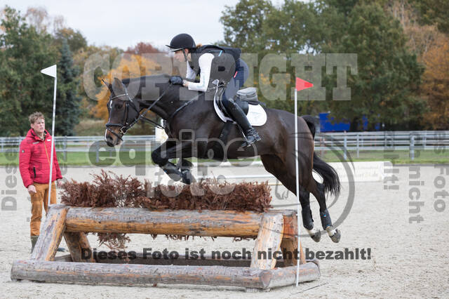 IGV Lehrgang der Sieger der Cups mit Frank Ostholt
